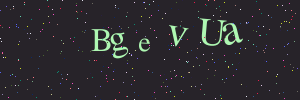 Validation image